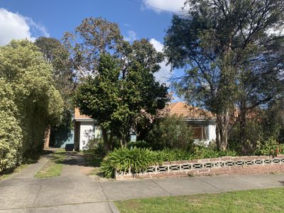 19 Packham Street, Box Hill North