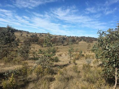 109 Briar Lane, Mount Rankin