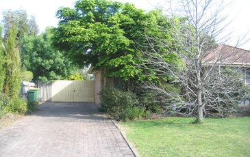 11 Sylvia Road, Beaconsfield