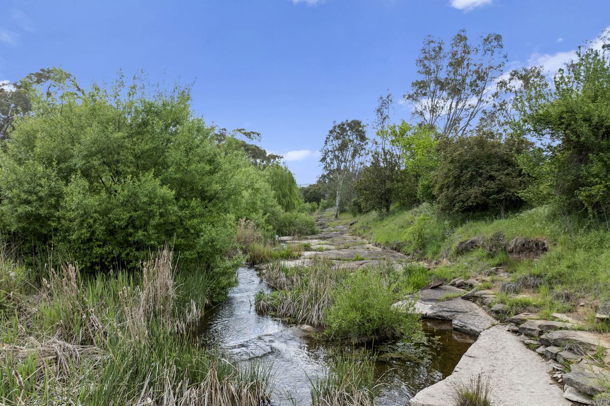 560 Old Tolmie Road, Mansfield