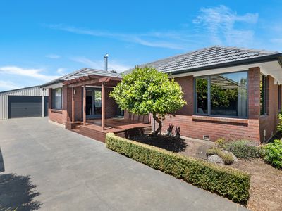 44 Emlyn Place, Avondale