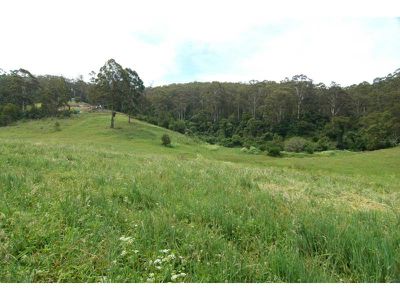 Lot 47 -48 Lower Towamba Road, Kiah