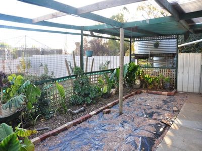 8263 Loddon Valley Hwy, Durham Ox
