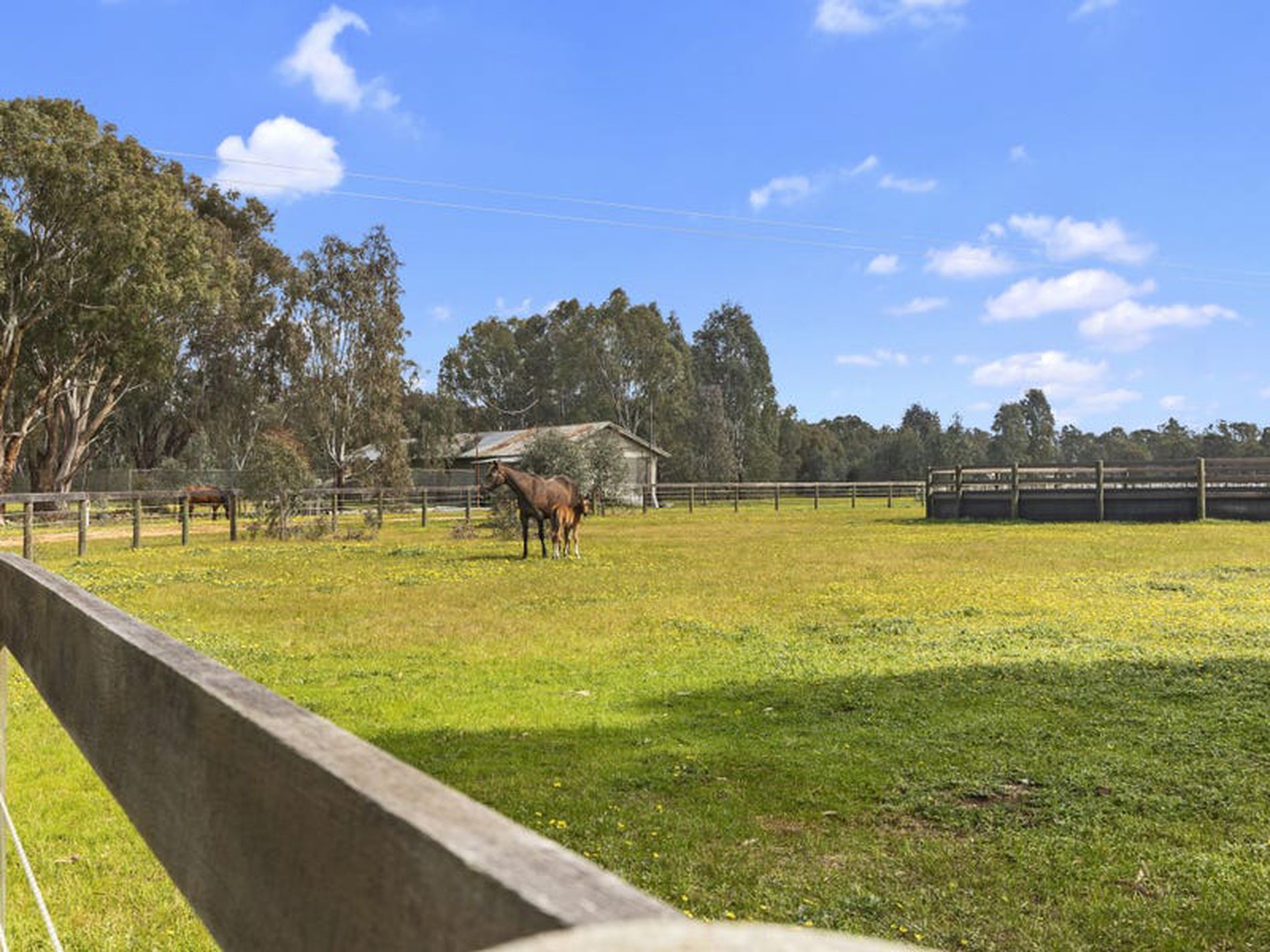 380 O'connors Rd, Mangalore