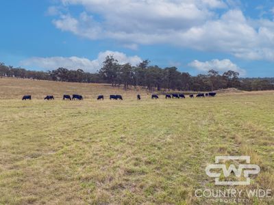 954 Bullock Mountain Road, Glen Innes