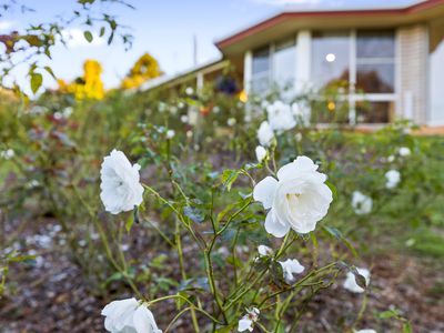 25 Hilltop Cresent, Maleny