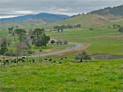 Green Lane, Dederang