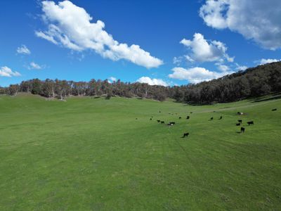 'Eastmore' 1177 Callaghan Creek Road, Mitta Mitta