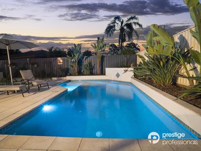 10 Ancura Court, Wattle Grove