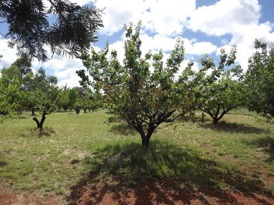 3389 Bundarra Road, Gilgai