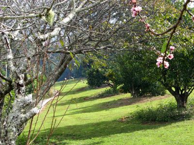 38 Flaxton Mill Road, Flaxton