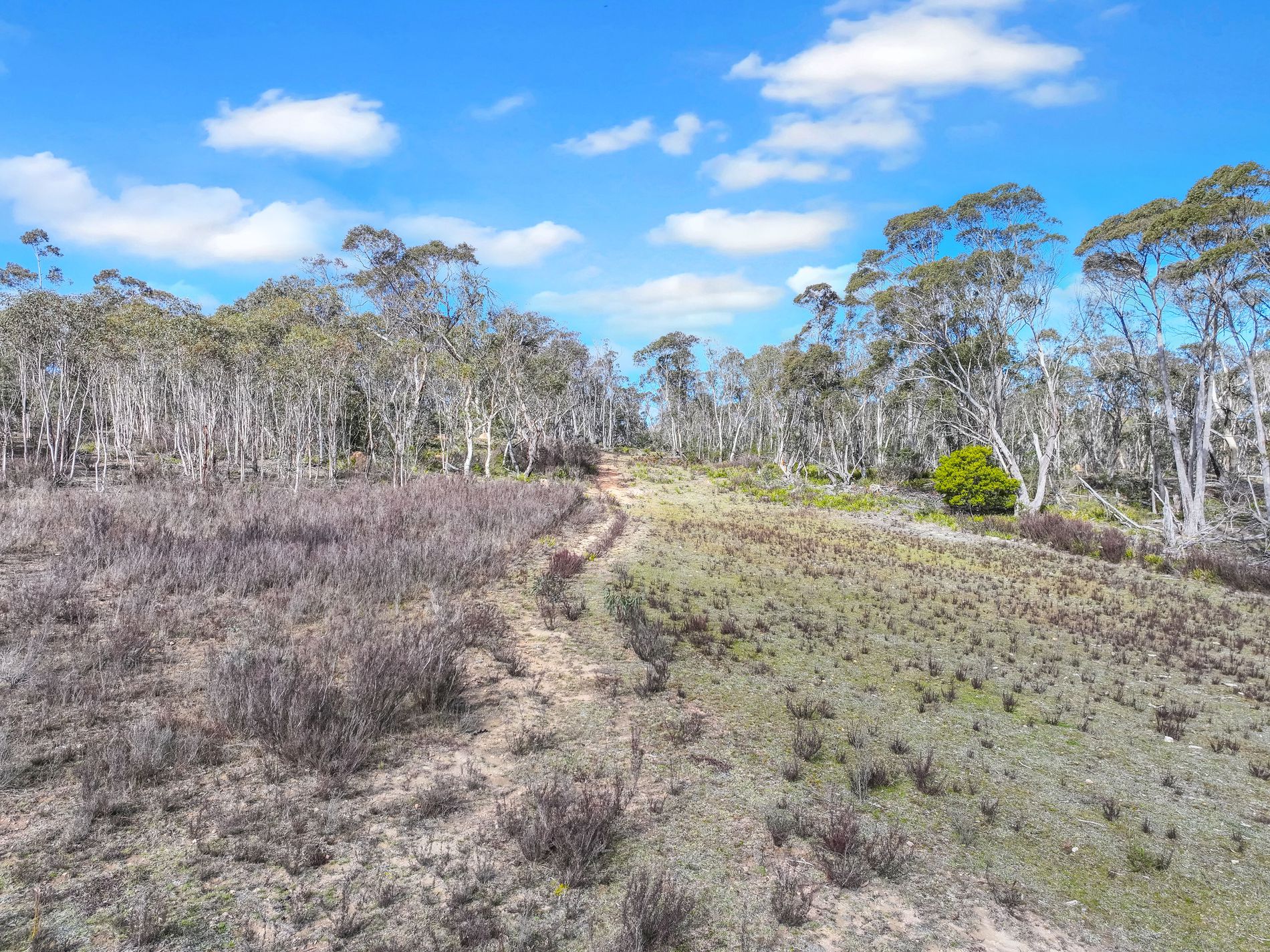 Lot 193 / 443 Back Creek Road, Mongarlowe