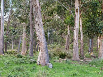 95 Rocky Bay Road, Deep Bay
