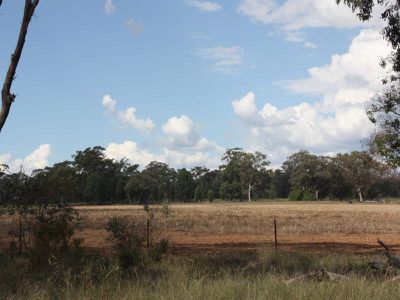 458 Sir Ivan Dougherty Drive, Dunedoo