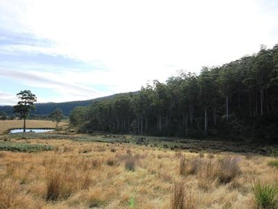 26 Acres Off Abbots Road, Nicholls Rivulet