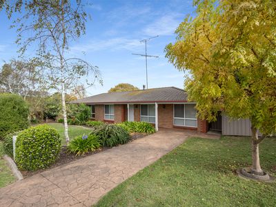 1 Magnolia Court, Mount Gambier