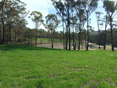 Lot 1, Grenenger Road, South Pambula