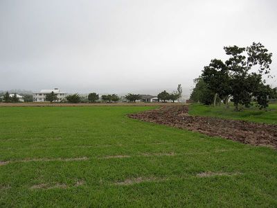 Atherton
