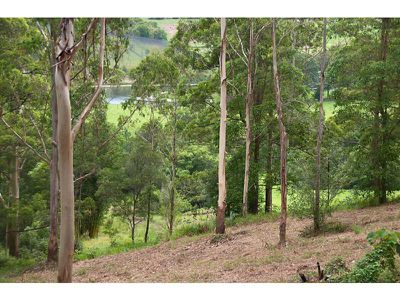 139 Perwillowen Road, Burnside