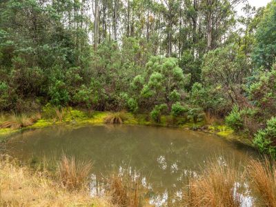 Lot 2 Roberts Road, Kaoota