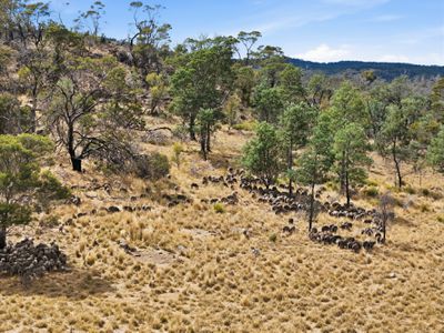 75 Prossers Forest Road, Ravenswood
