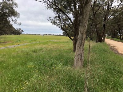 2000 Nine Mile South-Wedderburn Road, Wedderburn