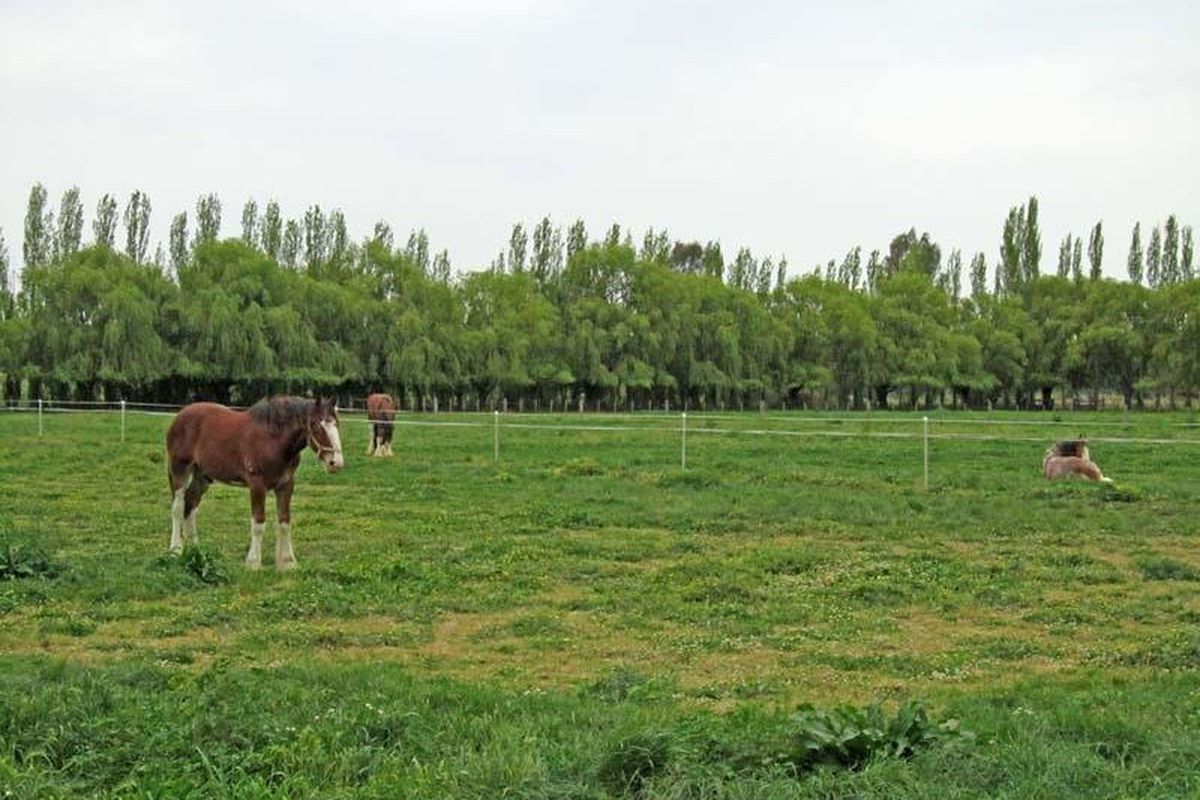 55 Howards Lane, Kyabram