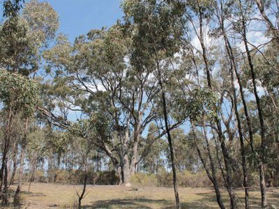 Lot 21 Davis Road, Heathcote