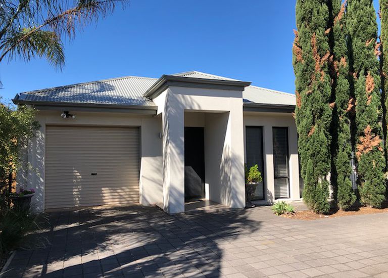 254 Diagonal Road, Oaklands Park