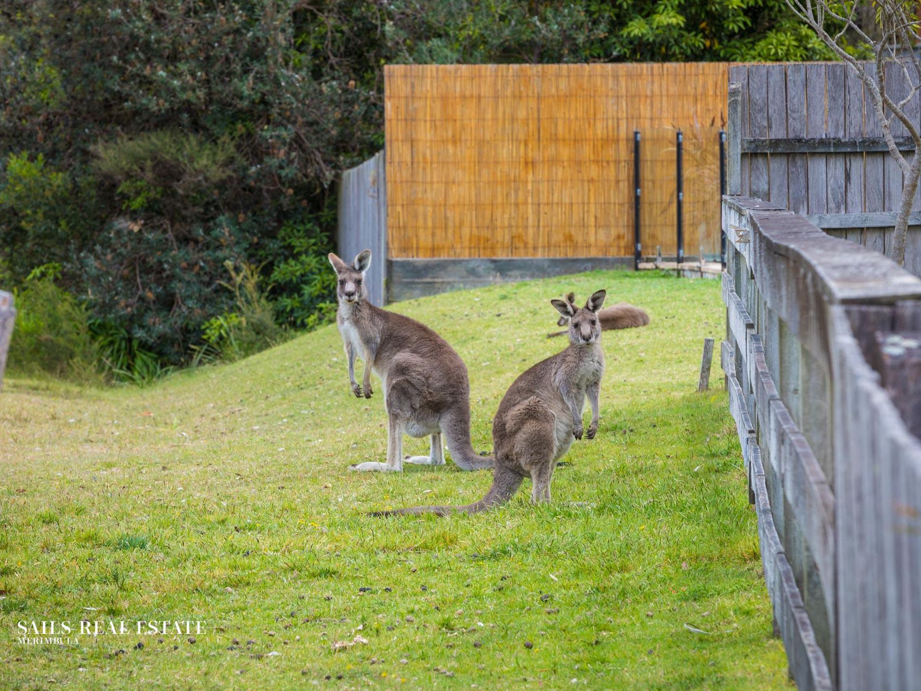 93 Headland Drive, Tura Beach