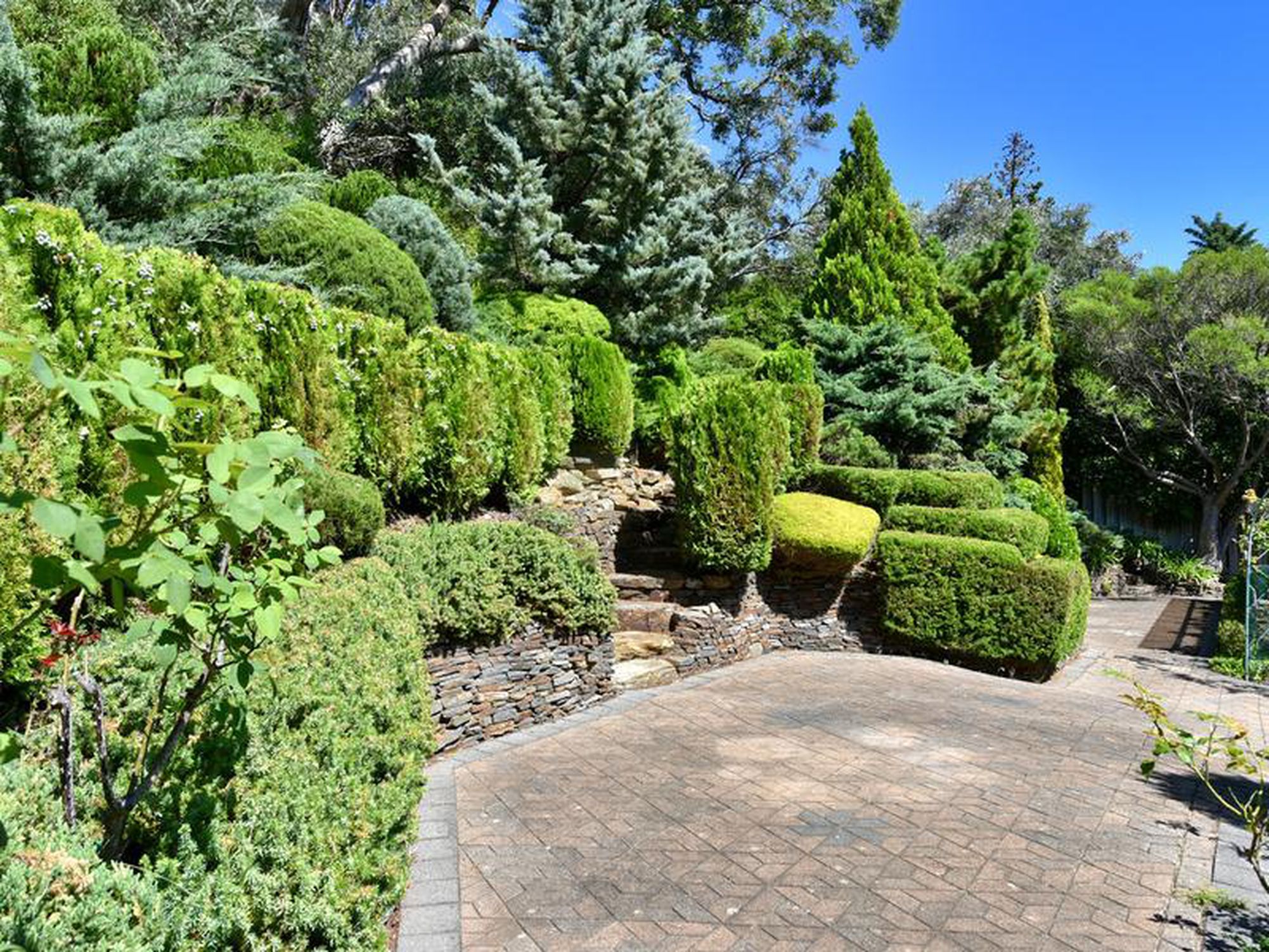 22 Wyfield Street, Wattle Park
