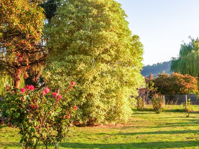 16 Sale Street, Huonville