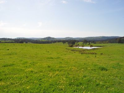 412 Vokins Creek Road, Little Billabong