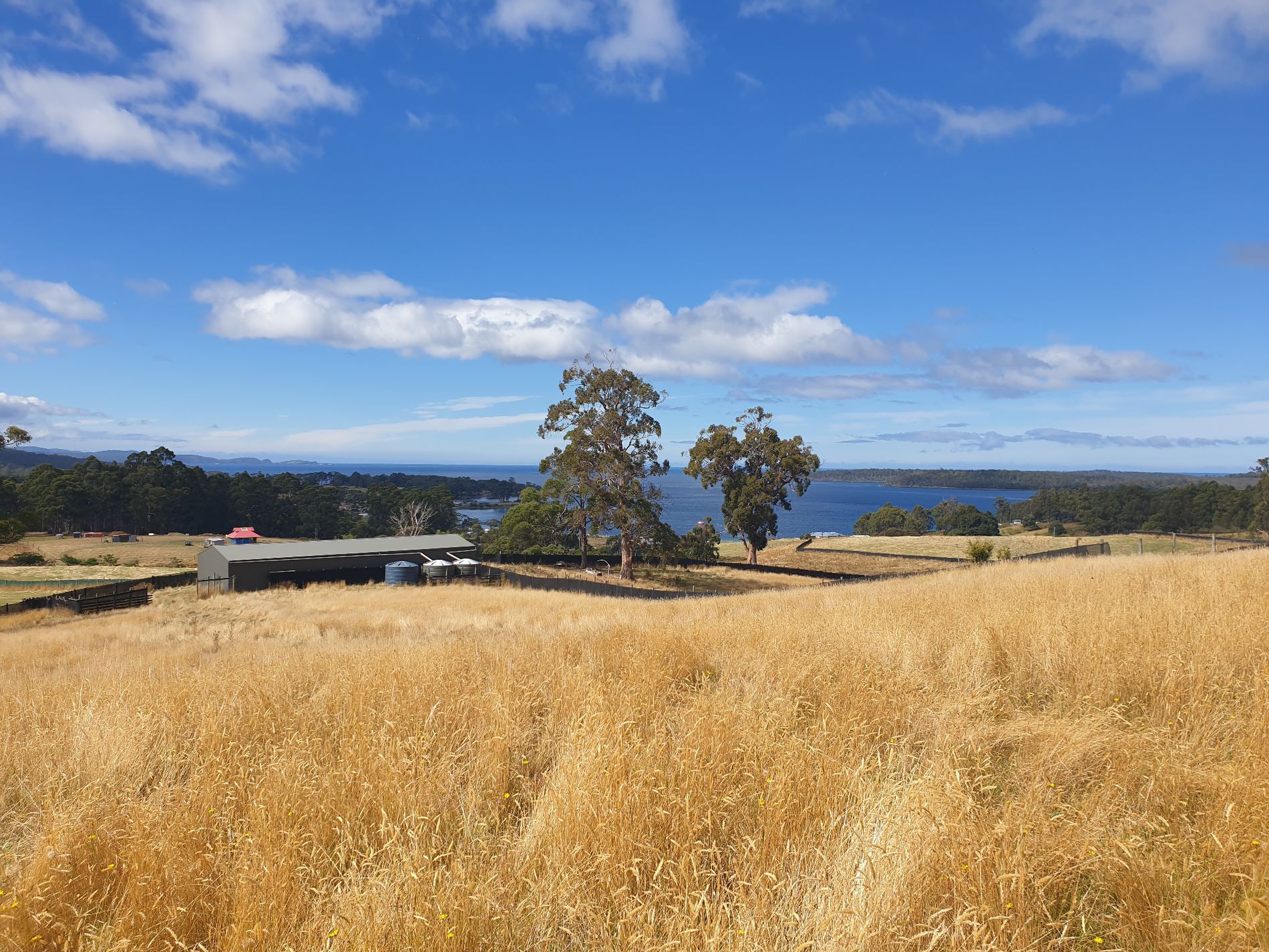 Lots 1 & 3 Plummers Road, Southport