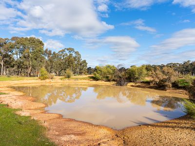 103 Gully Road, Welshmans Reef