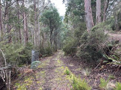 711 Judds Creek Road, Judbury