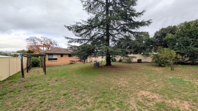 10 Joseph Brown Place, Tamworth