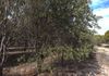 Lot 18493 Tutanning Road, East Pingelly