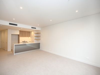 216 / 172 Ross Street, Forest Lodge