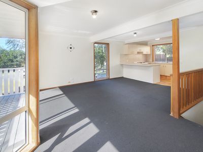 1 / 15 Martin Street, Nerang