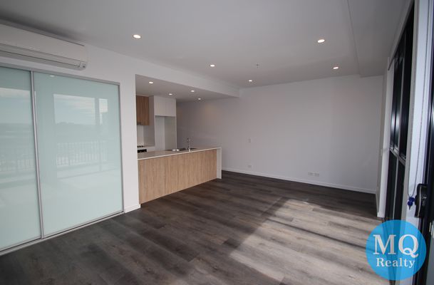 509 / 11 RAPHAEL STREET, Lidcombe