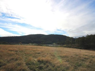 49 Acres Off Abbots Road, Nicholls Rivulet