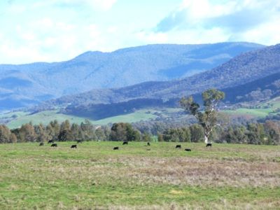 Gundowring Road, Gundowring