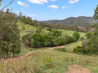 Lot 177 Kirbys Road, Obi Obi