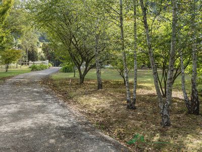 169 Simmonds Creek Road, Tawonga South