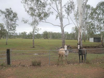 64 Birch Road, Kingaroy