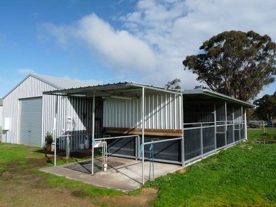 668 Walsh Rd, Horsham