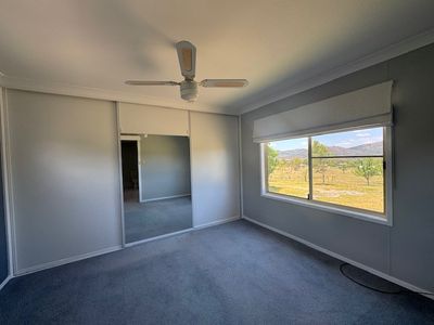 50 Porcupine Lane 'Seymour', Tintinhull