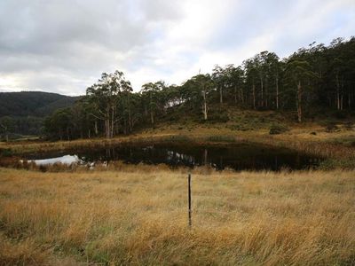 49 Acres Off Abbots Road, Nicholls Rivulet
