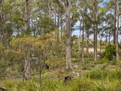 Lot 1, Channel Highway, Gordon